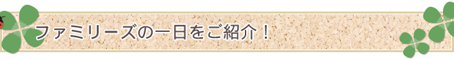 ファミリーズの一日をご紹介！